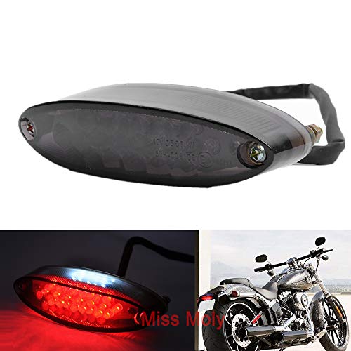 Piloto Trasero Moto, 28 LED Motocicleta Luz trasera de Seña,12V Luz Freno de Marcha para Motos Dirt Bike Quads ATV Piloto Trasero Moto, 28 LED Motocicleta Luz trasera de Seña,12V Luz Freno de Marcha para Motos Dirt Bike Quads ATV
