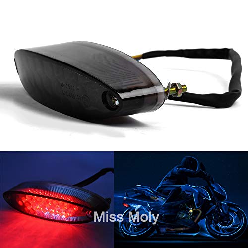 Piloto Trasero Moto, 28 LED Motocicleta Luz trasera de Seña,12V Luz Freno de Marcha para Motos Dirt Bike Quads ATV