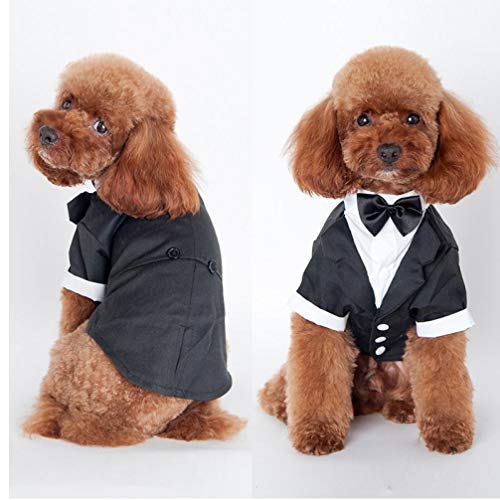 PiniceCore Perro Trajes El Perrito Ropa del Banquete de Boda del Perro casero del Smoking de la Pajarita del Animal doméstico del Perro Ropa para Perros Ropa Smoking Perro M