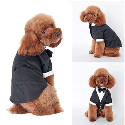 PiniceCore Perro Trajes El Perrito Ropa del Banquete de Boda del Perro casero del Smoking de la Pajarita del Animal doméstico del Perro Ropa para Perros Ropa Smoking Perro M