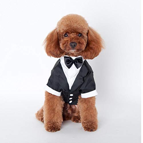 PiniceCore Perro Trajes El Perrito Ropa del Banquete de Boda del Perro casero del Smoking de la Pajarita del Animal doméstico del Perro Ropa para Perros Ropa Smoking Perro M