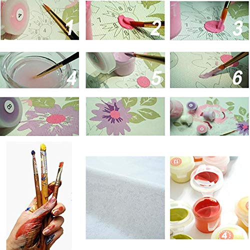 Pintura por Números Ballet Niña Y Perro Pintura por Números Adultos Utilizar para La Imagen del Arte De La Pared Decoración del Hogar Obras De Arte-Sin Marco-40 * 50cm Pintura por Números Ballet Niña Y Perro Pintura por Números Adultos Utilizar para La Imagen del Arte De La Pared Decoración del Hogar Obras De Arte-Sin Marco-40 * 50cm