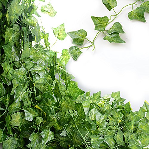 Plantas Hiedra Artificial (24pcsx2m) Hiedra Hojas de Vid Artificial Enredadera Guirnalda Decorativa Decoración Hogar Escalera Ventana Balcón Valla Jardín Boda Interior Exterior, 20m Lazo de Torcedura Plantas Hiedra Artificial (24pcsx2m) Hiedra Hojas de Vid Artificial Enredadera Guirnalda Decorativa Decoración Hogar Escalera Ventana Balcón Valla Jardín Boda Interior Exterior, 20m Lazo de Torcedura
