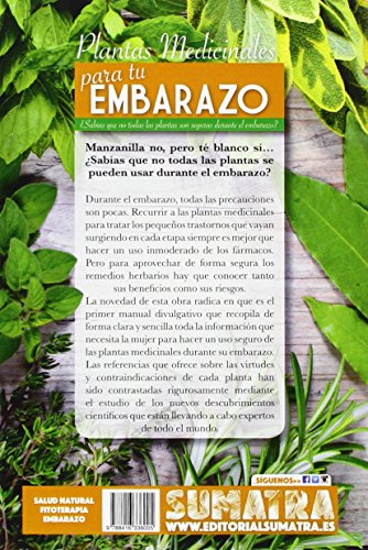 Plantas medicinales para tu embarazo: ¿Sabías que no todas las plantas son seguras durante el embarazo? (Hierbabuena) Plantas medicinales para tu embarazo: ¿Sabías que no todas las plantas son seguras durante el embarazo? (Hierbabuena)