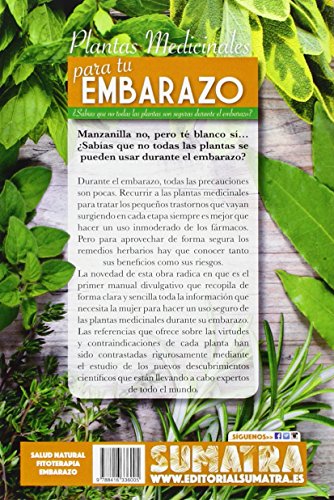 Plantas medicinales para tu embarazo: ¿Sabías que no todas las plantas son seguras durante el embarazo? (Hierbabuena)