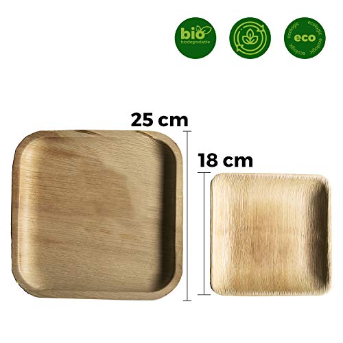 Platos desechables de hoja de palma 24 Piezas, 12 Platos cuadrados de 25 cm y 12 Platos de 18 cm. vajilla rustica de madera para barbacoas y fiesta de cumpleaños. Biodegradable libre de plástico.