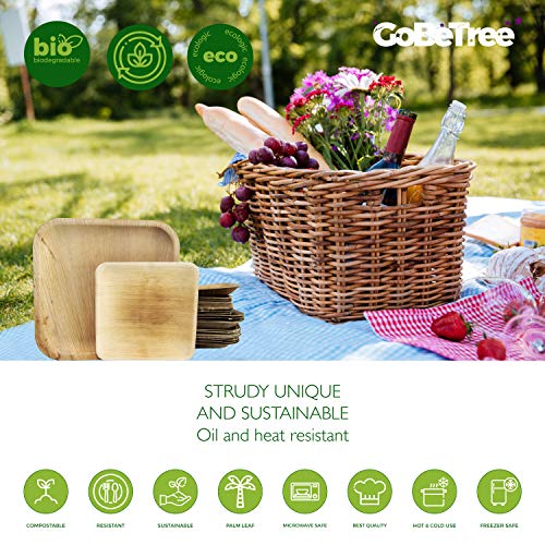 Platos desechables de hoja de palma 24 Piezas, 12 Platos cuadrados de 25 cm y 12 Platos de 18 cm. vajilla rustica de madera para barbacoas y fiesta de cumpleaños. Biodegradable libre de plástico. Platos desechables de hoja de palma 24 Piezas, 12 Platos cuadrados de 25 cm y 12 Platos de 18 cm. vajilla rustica de madera para barbacoas y fiesta de cumpleaños. Biodegradable libre de plástico.