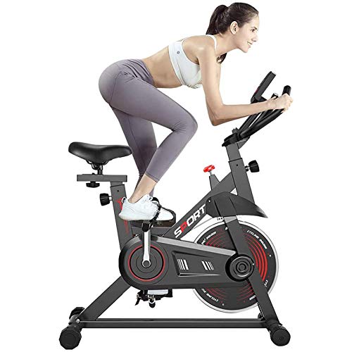 PLAYH Bicicleta Estática con Volante - Ergómetro, Transmisión por Correa Y Resistencia Continua - Bicicleta De Velocidad con Pantalla LCD PLAYH Bicicleta Estática con Volante - Ergómetro, Transmisión por Correa Y Resistencia Continua - Bicicleta De Velocidad con Pantalla LCD