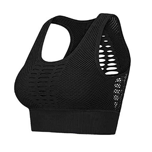 Pollara Sujetador deportivo sin costuras con efecto push-up, sujeción fuerte, para yoga, entrenamiento, fitness, actividad, espalda acolchada Negro S Pollara Sujetador deportivo sin costuras con efecto push-up, sujeción fuerte, para yoga, entrenamiento, fitness, actividad, espalda acolchada Negro S