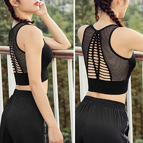Pollara Sujetador deportivo sin costuras con efecto push-up, sujeción fuerte, para yoga, entrenamiento, fitness, actividad, espalda acolchada Negro S Pollara Sujetador deportivo sin costuras con efecto push-up, sujeción fuerte, para yoga, entrenamiento, fitness, actividad, espalda acolchada Negro S