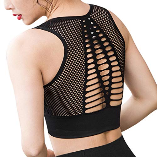 Pollara Sujetador deportivo sin costuras con efecto push-up, sujeción fuerte, para yoga, entrenamiento, fitness, actividad, espalda acolchada Negro S Pollara Sujetador deportivo sin costuras con efecto push-up, sujeción fuerte, para yoga, entrenamiento, fitness, actividad, espalda acolchada Negro S