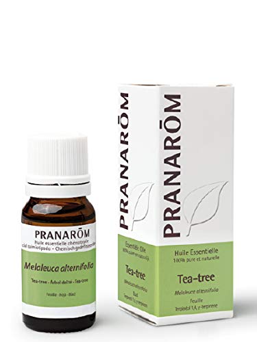 Pranarôm - Aceite Esencial de Árbol del Té - Hoja - 10 ml Pranarôm - Aceite Esencial de Árbol del Té - Hoja - 10 ml