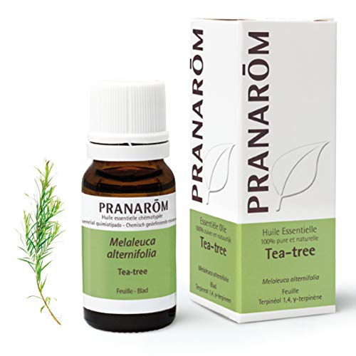 Pranarôm - Aceite Esencial de Árbol del Té - Hoja - 10 ml Pranarôm - Aceite Esencial de Árbol del Té - Hoja - 10 ml