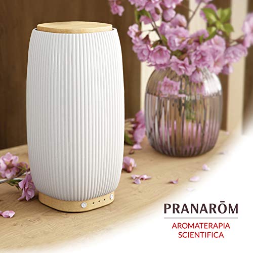 Pranarôm - Difusión - Difusor Jazz - ceramica + bambú Pranarôm - Difusión - Difusor Jazz - ceramica + bambú