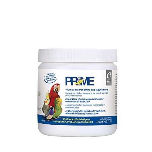 Prime Suplemento de Vitaminas, Minerales y Aminoácidos - 320 gr Prime Suplemento de Vitaminas, Minerales y Aminoácidos - 320 gr