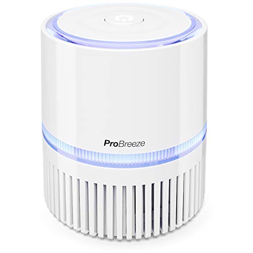 Pro Breeze Purificador de Aire Mini con Auténtico Filtro HEPA e Ionizador - Limpiador de Aire Personal de Escritorio con Luz Nocturna - para Hogar, Trabajo, Oficinas | USB y Alimentación Principal Pro Breeze Purificador de Aire Mini con Auténtico Filtro HEPA e Ionizador - Limpiador de Aire Personal de Escritorio con Luz Nocturna - para Hogar, Trabajo, Oficinas | USB y Alimentación Principal