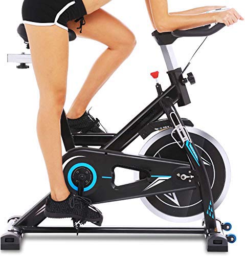 Profun Bicicleta Estática de Spinning Profesional, Ajustable Resistencia, Pantalla LCD, Bicicleta Fitness de Gimnasio Ejercicio con Volante de Inercia, Sillín Ajustable, Máx.130kg (Negro con App)