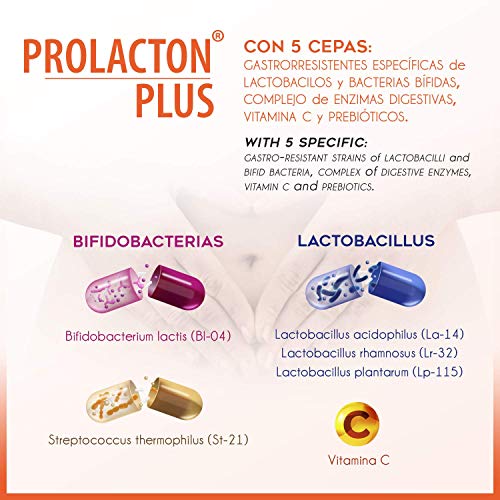 PROLACTON PLUS Probioticos Prebioticos Intestinales y Enzimas Digestivas Naturales y AYUDA EN PROBLEMAS GASTRICOS AGUDOS – Lactobacillus y Bifidobacterias Bromelina Amilasa y Lipasa 15 Capsulas PROLACTON PLUS Probioticos Prebioticos Intestinales y Enzimas Digestivas Naturales y AYUDA EN PROBLEMAS GASTRICOS AGUDOS – Lactobacillus y Bifidobacterias Bromelina Amilasa y Lipasa 15 Capsulas