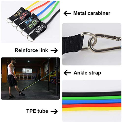PROTAURI Bandas de Ejercicios con Bandas de Resistencia física Que incluya 5 Bandas de Ejercicios apilables con Ancla de Puerta, manijas, Estuche para Entrenamiento de Resistencia, Fisioterapia PROTAURI Bandas de Ejercicios con Bandas de Resistencia física Que incluya 5 Bandas de Ejercicios apilables con Ancla de Puerta, manijas, Estuche para Entrenamiento de Resistencia, Fisioterapia