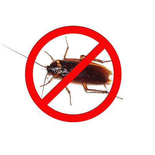 Protect Home Gel Anticucarachas, Cebo de accion inmediata, eficacia Total, 1 jeringuilla Anti Cucarachas, Azul, 1 x 10 gramos
