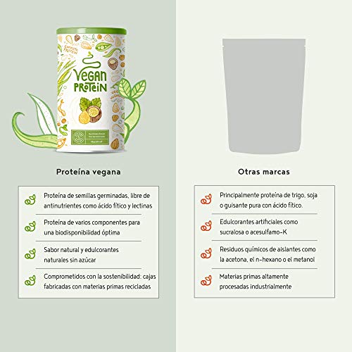 Proteina Vegana | AVELLANA | Proteína vegetal de arroz, guisantes, semillas de lino, amaranto, semillas de girasol y semillas de calabaza germinadas | 600 g en polvo con sabor a Avellana natural Proteina Vegana | AVELLANA | Proteína vegetal de arroz, guisantes, semillas de lino, amaranto, semillas de girasol y semillas de calabaza germinadas | 600 g en polvo con sabor a Avellana natural