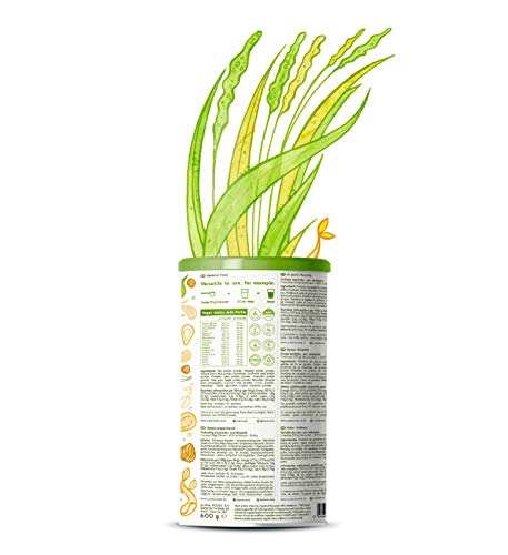 Proteina Vegana | AVELLANA | Proteína vegetal de arroz, guisantes, semillas de lino, amaranto, semillas de girasol y semillas de calabaza germinadas | 600 g en polvo con sabor a Avellana natural Proteina Vegana | AVELLANA | Proteína vegetal de arroz, guisantes, semillas de lino, amaranto, semillas de girasol y semillas de calabaza germinadas | 600 g en polvo con sabor a Avellana natural