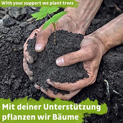 Proteína Vegana BIO Vainilla sin soja de Alemania - Polvo de Proteína Orgánica 650g de Arroz, Proteína de Cáñamo y Proteína de Guisante"Como batido de proteína orgánica"