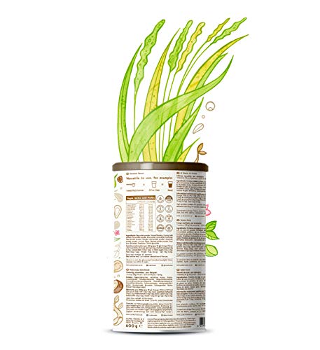 Proteina Vegana | COCO | Proteína vegetal de soja, arroz, guisantes, semillas de lino, amaranto, semillas de girasol y semillas de calabaza germinadas | 600 g en polvo con sabor a Coco natural