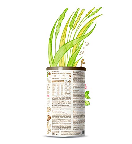 Proteina Vegana | COCO | Proteína vegetal de soja, arroz, guisantes, semillas de lino, amaranto, semillas de girasol y semillas de calabaza germinadas | 600 g en polvo con sabor a Coco natural Proteina Vegana | COCO | Proteína vegetal de soja, arroz, guisantes, semillas de lino, amaranto, semillas de girasol y semillas de calabaza germinadas | 600 g en polvo con sabor a Coco natural