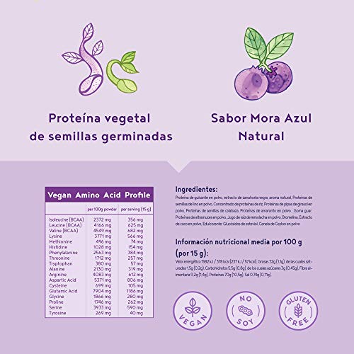 Proteina Vegana | MORA AZUL | Proteína vegetal de arroz, guisantes, semillas de lino, amaranto, semillas de girasol y semillas de calabaza germinadas | 600 g en polvo con sabor a Mora Azul