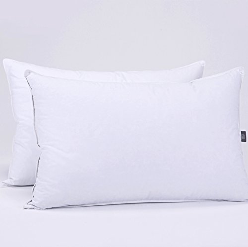 puredown Pack de 2 Almohadas de Pluma y Plumón Lavable a Máquina Soporte Firme Anti-ácaros Antipolvo 50x76cm puredown Pack de 2 Almohadas de Pluma y Plumón Lavable a Máquina Soporte Firme Anti-ácaros Antipolvo 50x76cm