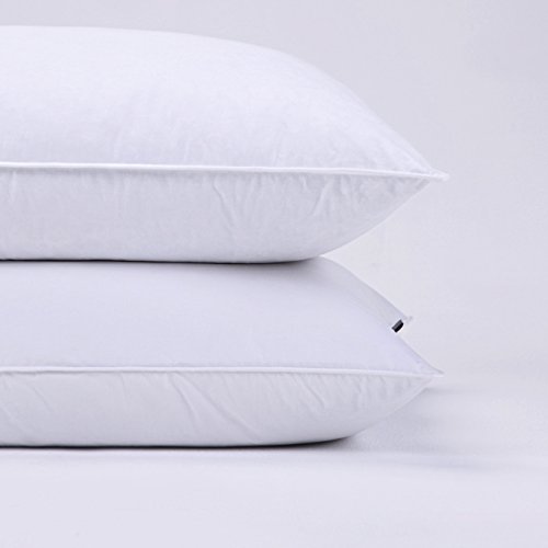 puredown Pack de 2 Almohadas de Pluma y Plumón Lavable a Máquina Soporte Firme Anti-ácaros Antipolvo 50x76cm puredown Pack de 2 Almohadas de Pluma y Plumón Lavable a Máquina Soporte Firme Anti-ácaros Antipolvo 50x76cm