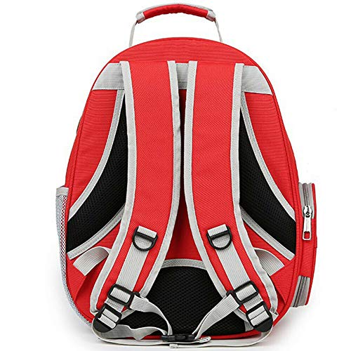 QDCITT Bolsa de hombro transparente con agujeros transpirables para la jaula de la mochila de exterior para mascotas, suministros de animales en venta al por mayor o al por menor (rojo) QDCITT Bolsa de hombro transparente con agujeros transpirables para la jaula de la mochila de exterior para mascotas, suministros de animales en venta al por mayor o al por menor (rojo)