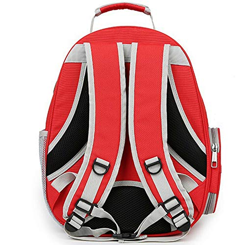 QDCITT Bolsa de hombro transparente con agujeros transpirables para la jaula de la mochila de exterior para mascotas, suministros de animales en venta al por mayor o al por menor (rojo)