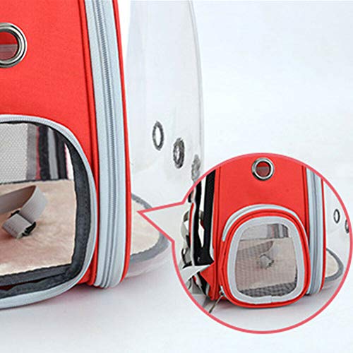 QDCITT Bolsa de hombro transparente con agujeros transpirables para la jaula de la mochila de exterior para mascotas, suministros de animales en venta al por mayor o al por menor (rojo) QDCITT Bolsa de hombro transparente con agujeros transpirables para la jaula de la mochila de exterior para mascotas, suministros de animales en venta al por mayor o al por menor (rojo)