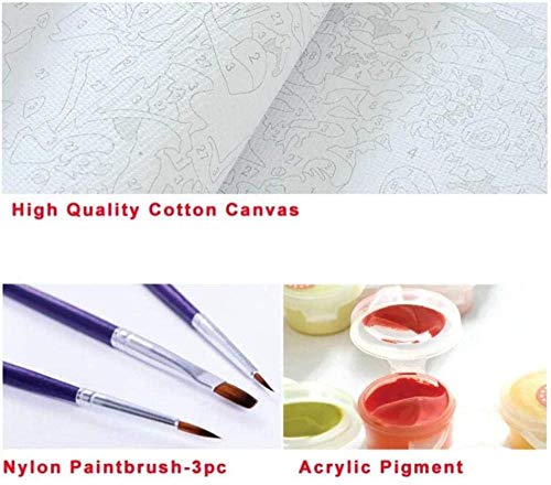 QIAOYUE-Paint by Numbers Kit de Pintura de Bricolaje para Adultos y niños Principiantes Que pintan Arte pre-Impreso Lienzo Ballet Girl Listo para Realizar (40 * 50cm) QIAOYUE-Paint by Numbers Kit de Pintura de Bricolaje para Adultos y niños Principiantes Que pintan Arte pre-Impreso Lienzo Ballet Girl Listo para Realizar (40 * 50cm)