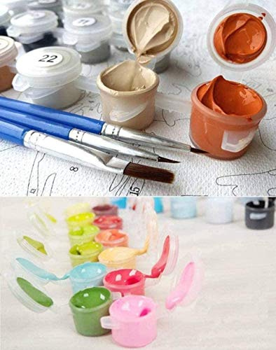 QIAOYUE-Paint by Numbers Kit de Pintura de Bricolaje para Adultos y niños Principiantes Que pintan Arte pre-Impreso Lienzo Ballet Girl Listo para Realizar (40 * 50cm) QIAOYUE-Paint by Numbers Kit de Pintura de Bricolaje para Adultos y niños Principiantes Que pintan Arte pre-Impreso Lienzo Ballet Girl Listo para Realizar (40 * 50cm)