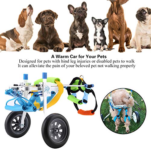 Qiilu Pet Wheelchair Disabled Dog Assisted Walk Car Hind Leg Ejercicio de Ejercicio para Perros/Gatos