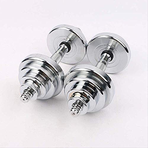 Qinmo Entrenamiento de Fuerza Pesas de Uso múltiple en Par, Contiene Dos Mancuernas con Asas de Metal, de Plata (Size : 20kg) Qinmo Entrenamiento de Fuerza Pesas de Uso múltiple en Par, Contiene Dos Mancuernas con Asas de Metal, de Plata (Size : 20kg)