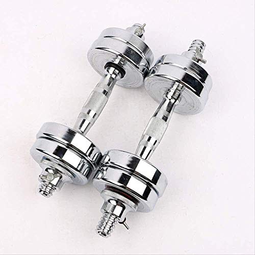 Qinmo Entrenamiento de Fuerza Pesas de Uso múltiple en Par, Contiene Dos Mancuernas con Asas de Metal, de Plata (Size : 20kg) Qinmo Entrenamiento de Fuerza Pesas de Uso múltiple en Par, Contiene Dos Mancuernas con Asas de Metal, de Plata (Size : 20kg)