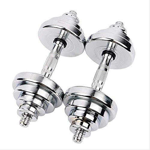 Qinmo Entrenamiento de Fuerza Pesas de Uso múltiple en Par, Contiene Dos Mancuernas con Asas de Metal, de Plata (Size : 20kg) Qinmo Entrenamiento de Fuerza Pesas de Uso múltiple en Par, Contiene Dos Mancuernas con Asas de Metal, de Plata (Size : 20kg)