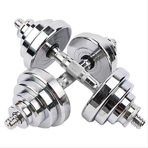Qinmo Entrenamiento de Fuerza Pesas de Uso múltiple en Par, Contiene Dos Mancuernas con Asas de Metal, de Plata (Size : 20kg) Qinmo Entrenamiento de Fuerza Pesas de Uso múltiple en Par, Contiene Dos Mancuernas con Asas de Metal, de Plata (Size : 20kg)