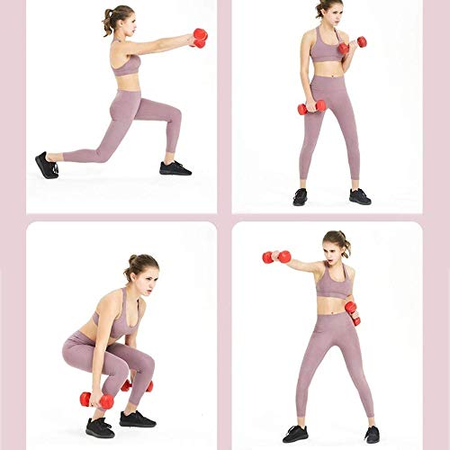 Qinmo Seis Piezas Conjunto de Pesas, 1, 2, 3 kg (con Pesas Rack), Muy Conveniente for el hogar Aptitud de Las Mujeres Bíceps del Entrenamiento de Peso Ejercicio físico Qinmo Seis Piezas Conjunto de Pesas, 1, 2, 3 kg (con Pesas Rack), Muy Conveniente for el hogar Aptitud de Las Mujeres Bíceps del Entrenamiento de Peso Ejercicio físico