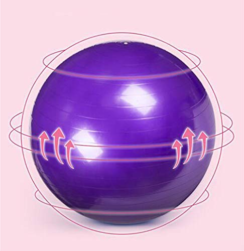 QMMCK Pelota De Yoga Fitness con Bomba De Aire Estiramiento De Pilates Ayudas De Yoga A Prueba De Explosiones Y Antideslizante. Solía ??Hacer Ejercicio Fitness Yoga (002)