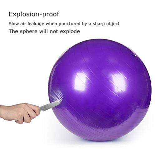 QMMCK Pelota De Yoga Fitness con Bomba De Aire Estiramiento De Pilates Ayudas De Yoga A Prueba De Explosiones Y Antideslizante. Solía ??Hacer Ejercicio Fitness Yoga (002) QMMCK Pelota De Yoga Fitness con Bomba De Aire Estiramiento De Pilates Ayudas De Yoga A Prueba De Explosiones Y Antideslizante. Solía ??Hacer Ejercicio Fitness Yoga (002)