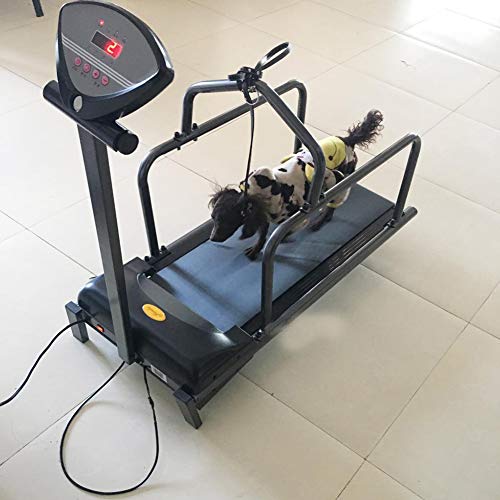 QNMM Cinta de Correr para Mascotas Cinta de Correr para Animales Suministros para Perros Cinta de Correr para Cachorros QNMM Cinta de Correr para Mascotas Cinta de Correr para Animales Suministros para Perros Cinta de Correr para Cachorros