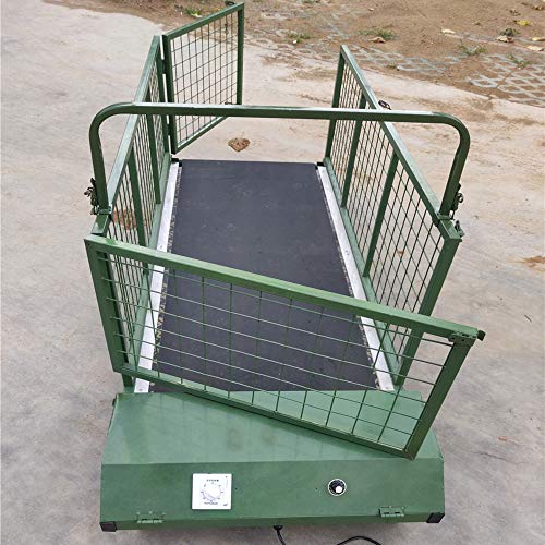 QNMM Fitness Pet Treadmill Indoor Pet, alfombra para perro, animal, Mastiff tibetano, gran perro, alfombra de carreras para perros de hasta 300 kg