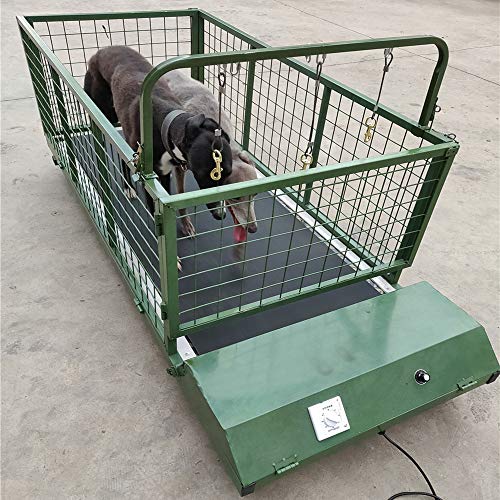 QNMM Fitness Pet Treadmill Indoor Pet, alfombra para perro, animal, Mastiff tibetano, gran perro, alfombra de carreras para perros de hasta 300 kg