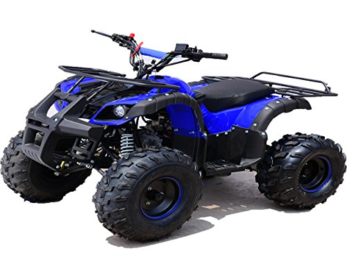 Quad Hummer Panda 125cc,con motor automático de 4 tiempos, marcha atrás, arranque eléctrico, sistema de parado en caso de caida y limitador de velocidad. Quad Hummer Panda 125cc,con motor automático de 4 tiempos, marcha atrás, arranque eléctrico, sistema de parado en caso de caida y limitador de velocidad.