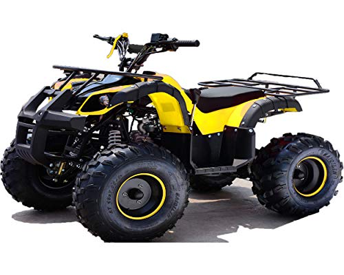 Quad Hummer Panda 125cc,con motor automático de 4 tiempos, marcha atrás, arranque eléctrico, sistema de parado en caso de caida y limitador de velocidad.